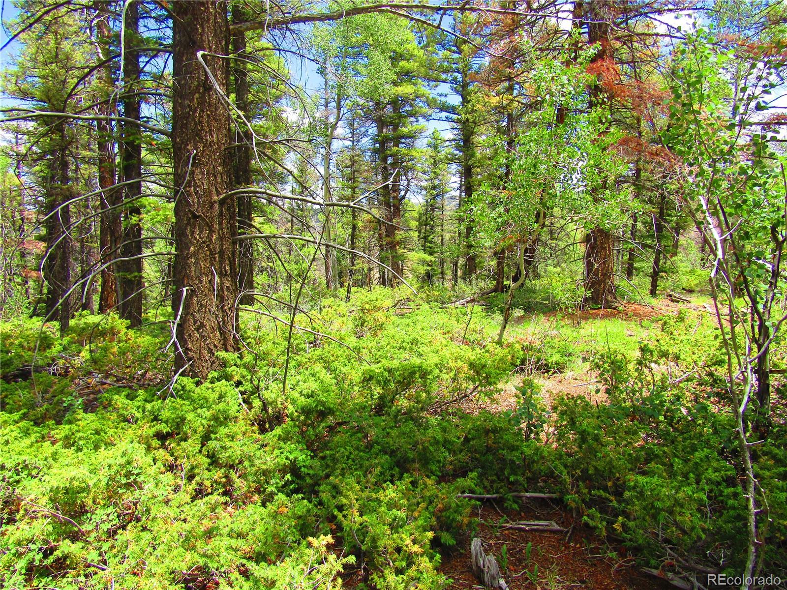 LOT 6082 Stella Road Road