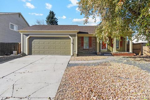 10263 Robb Street, Westminster, CO 80021 - #: 6611069