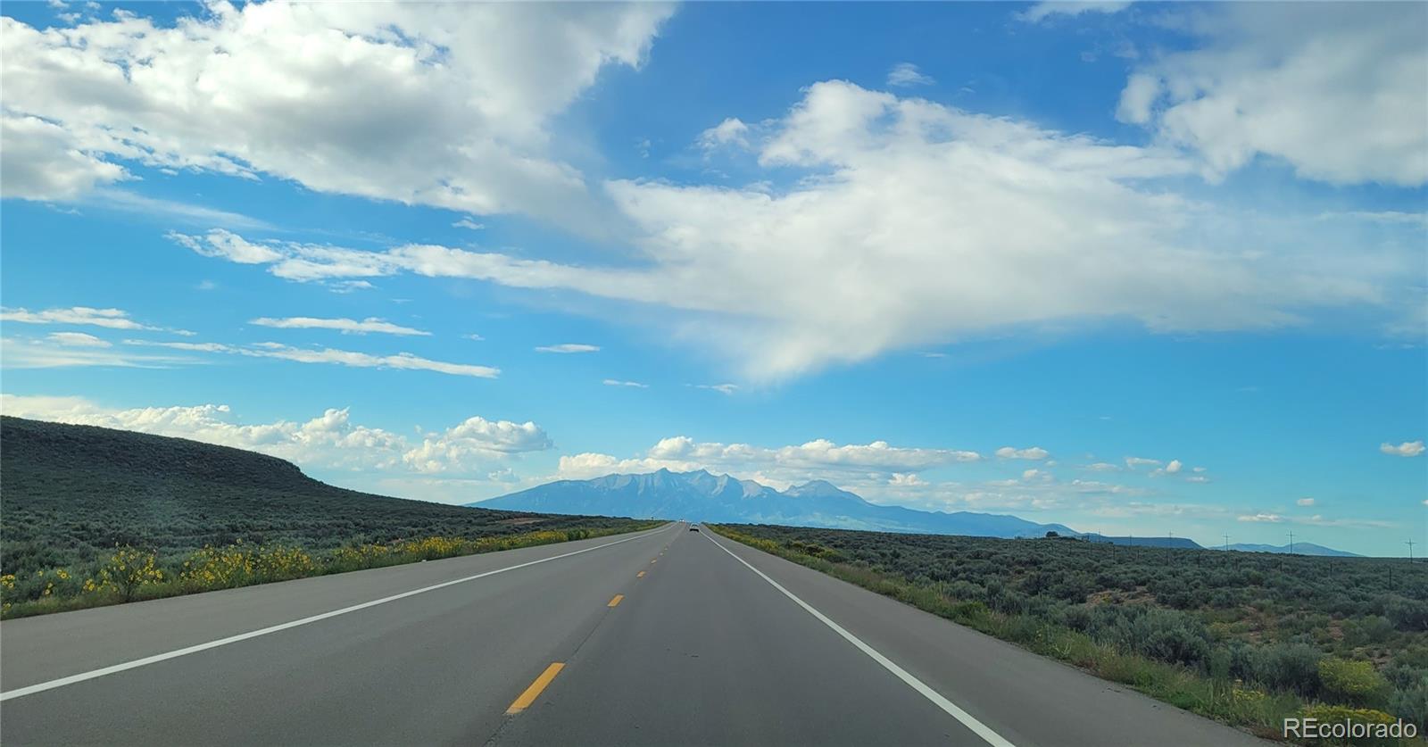 parrot Drive