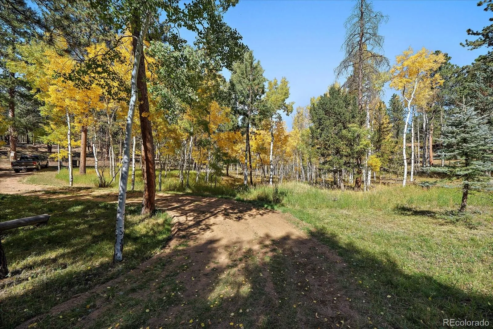 Bailey, Colorado 80421, United States, 1 Bedroom Bedrooms, ,1 BathroomBathrooms,Residential,Active,46725