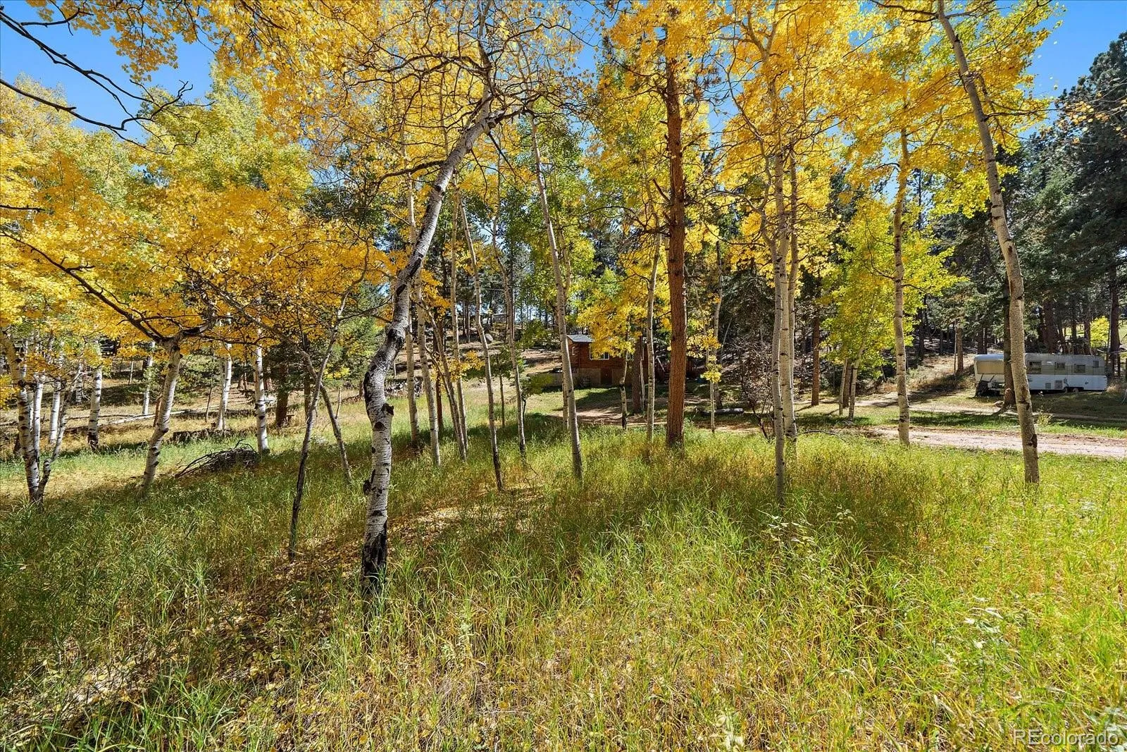 Bailey, Colorado 80421, United States, 1 Bedroom Bedrooms, ,1 BathroomBathrooms,Residential,Active,46725