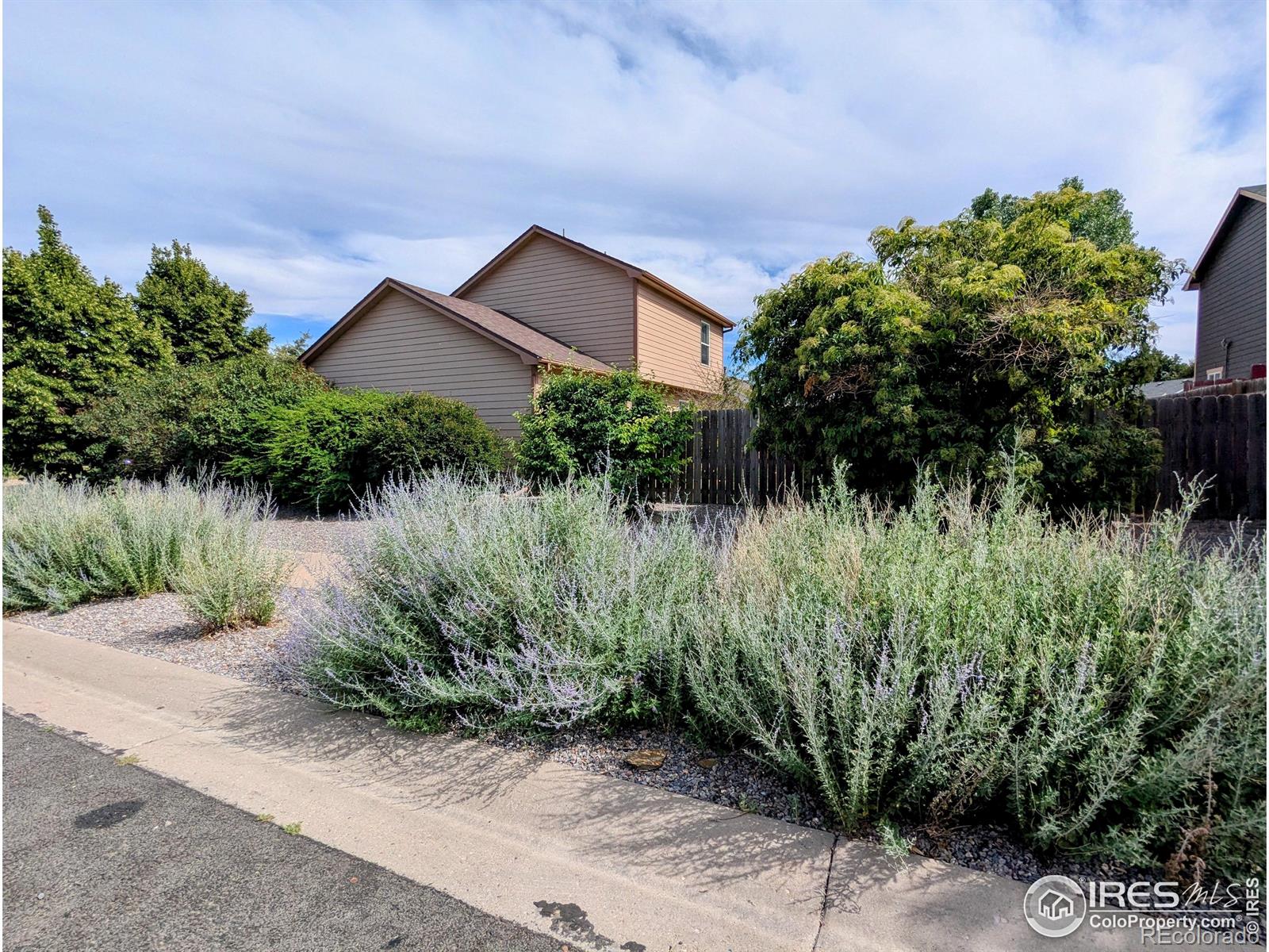 3705 Dove Lane