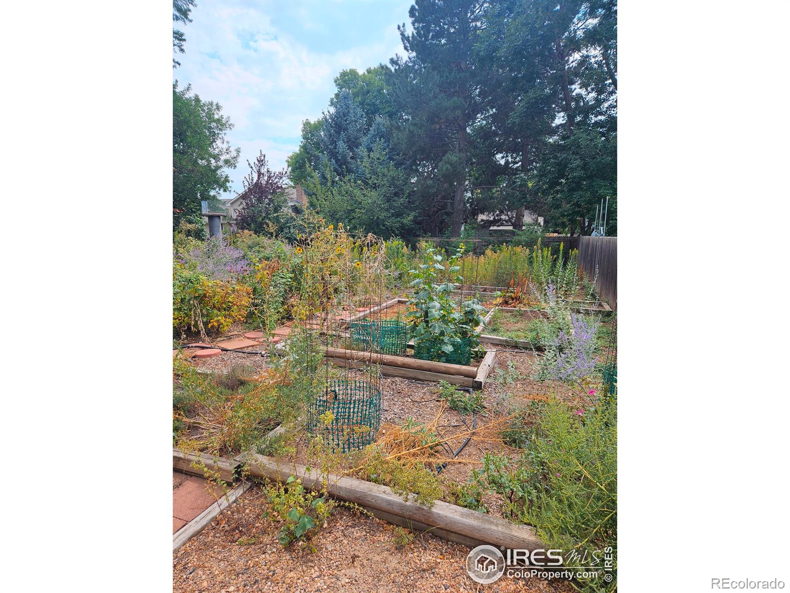 1125 Oakmont Court