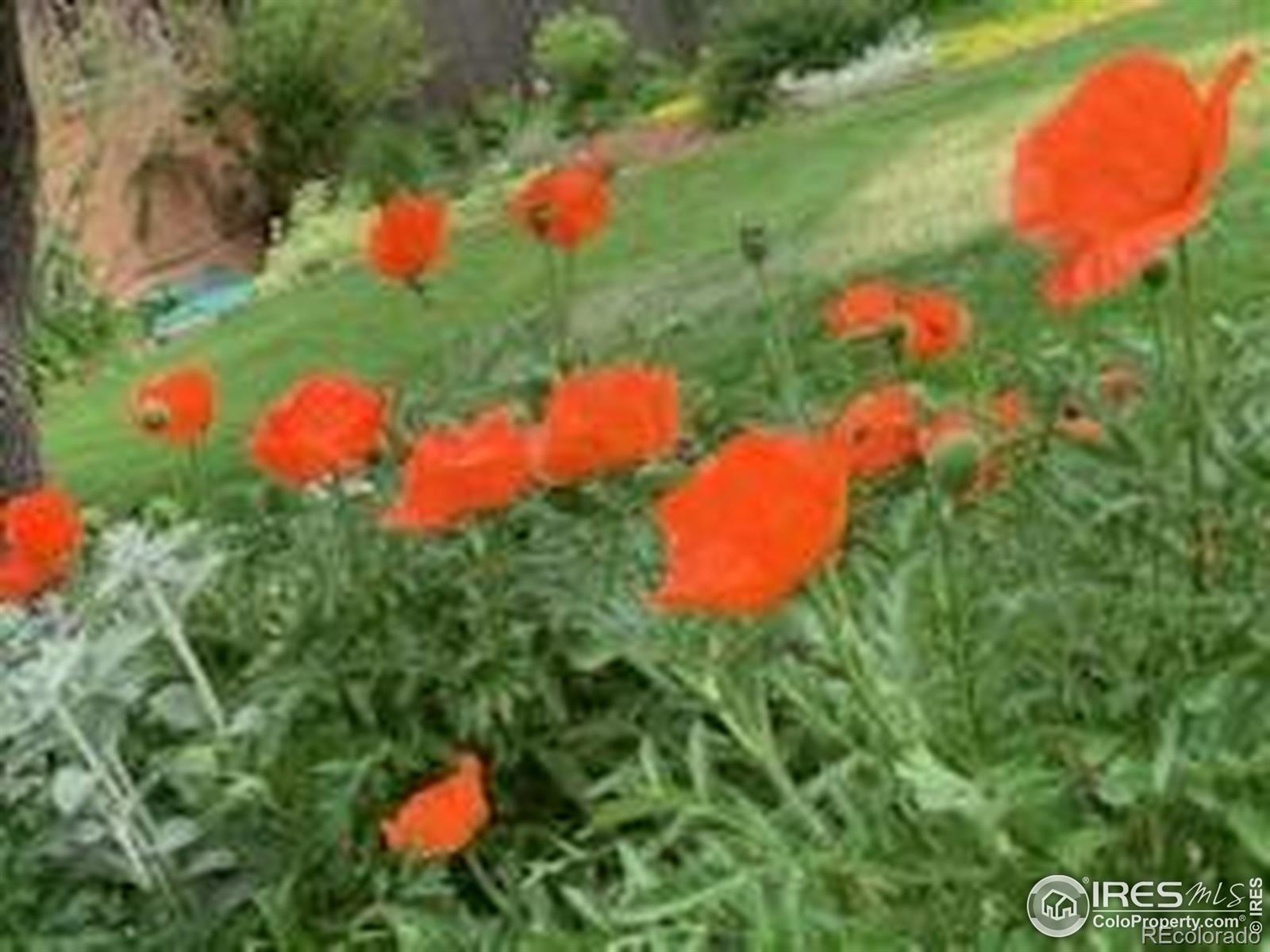 1219 23rd Ave Ct, Greeley, CO, 80634 4 1219 23rd Ave Ct