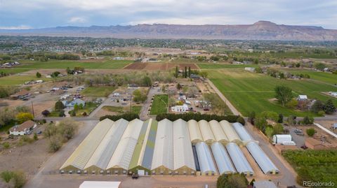 3281 C Road Palisade CO 81526