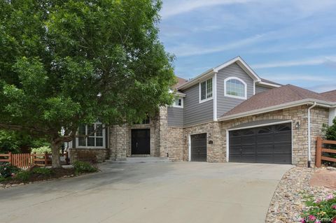 14075 Willow Wood Court Broomfield CO 80020