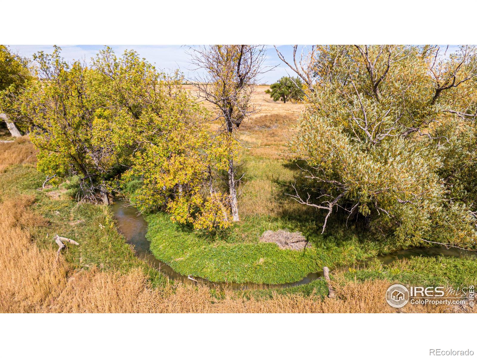 20527 County Road 36