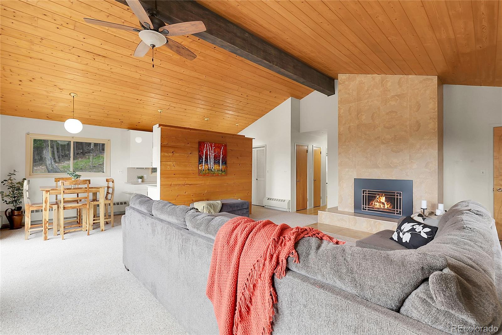 29958 Conifer Mountain Drive