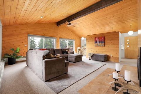 29958 Conifer Mountain Drive Conifer CO 80433