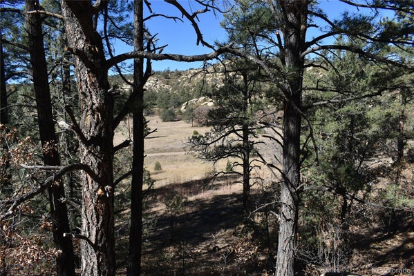 ADDRESS PRIVATE, WESTON, CO 81091 - Image d20e29cd7ba6b7ab171e76148bd9bbc7/673906904