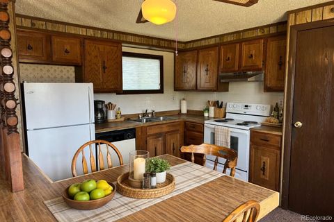 29600 County Road 353 Buena Vista CO 81211