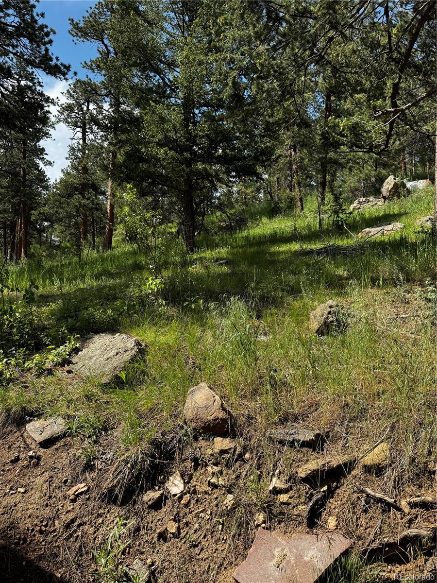 27447 Upper Cold Spg Gulch Road