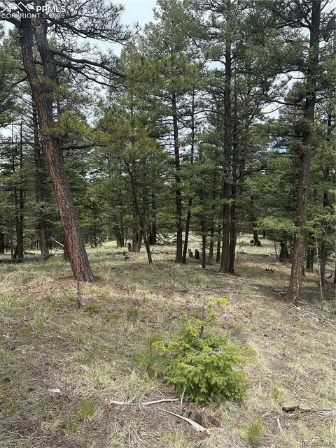 1120/1086 N Mountain Estates Road Florissant CO 80816