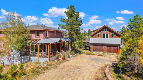 45 Alpine Drive Nederland CO 80466