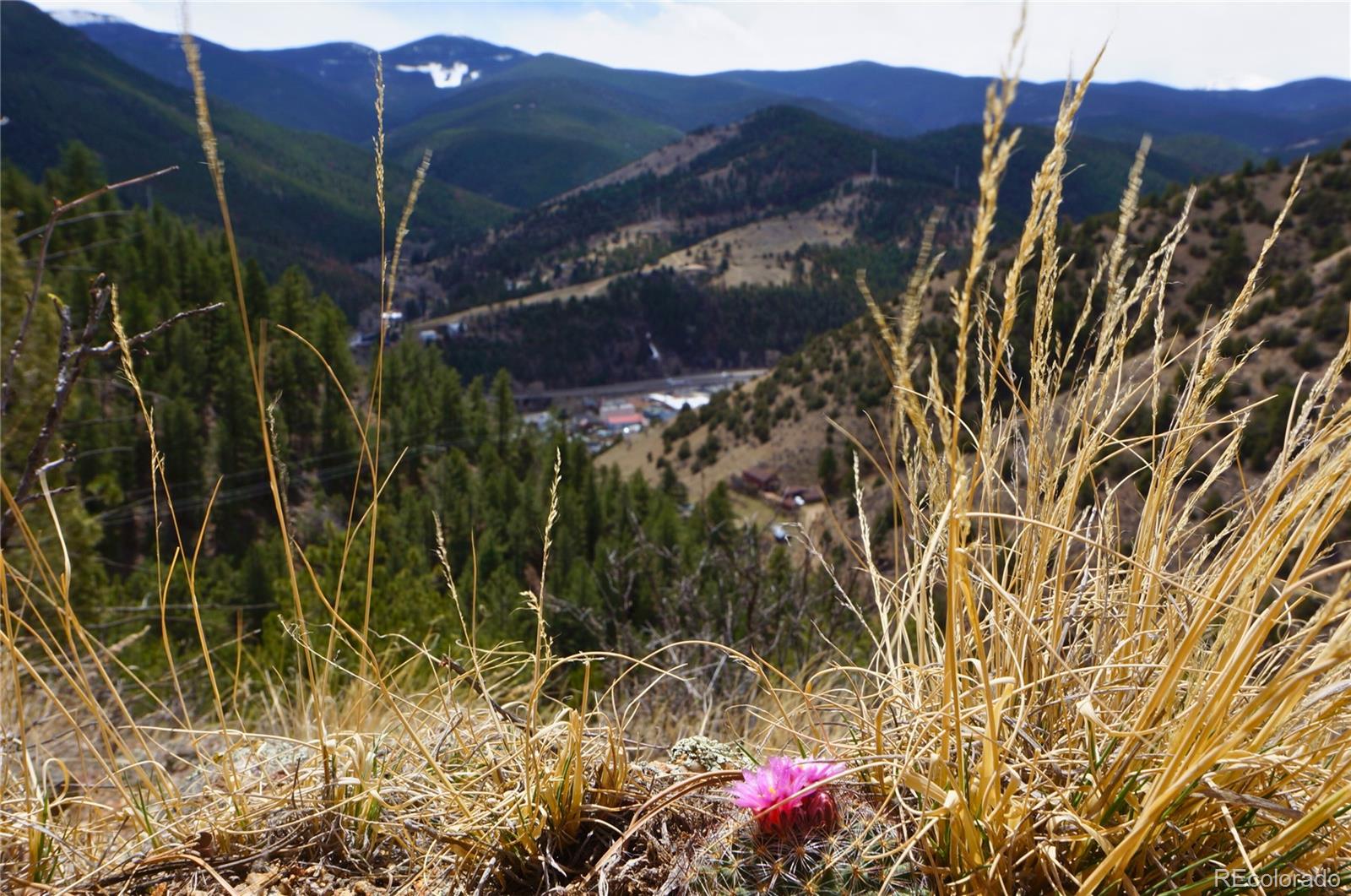 000 Virginia Canyon Road
