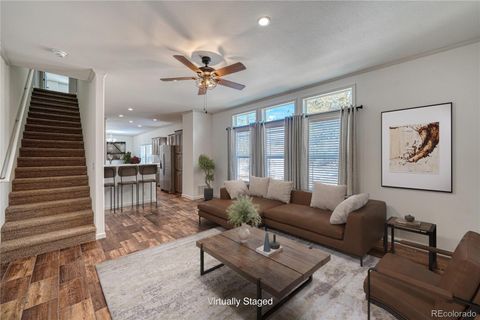 904 W 6th Street Leadville CO 80461