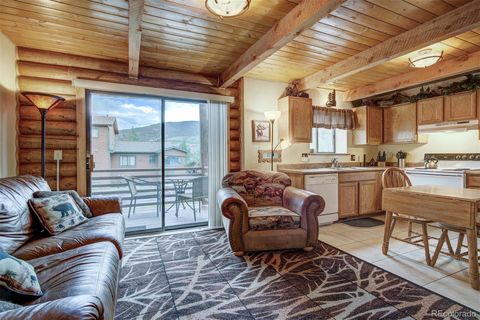 100 Cove Boulevard F Dillon CO 80435