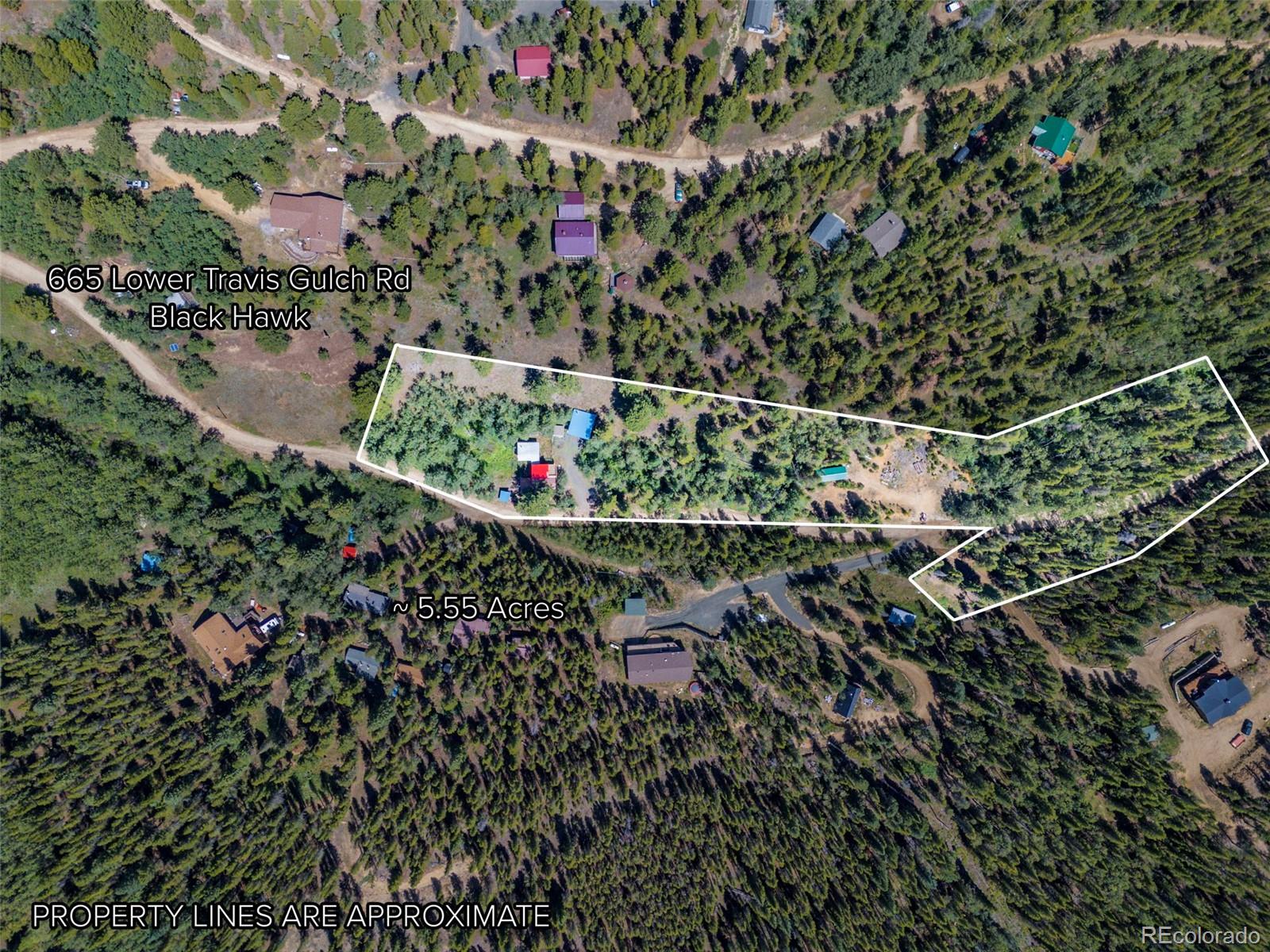 665 Lower Travis Gulch Road