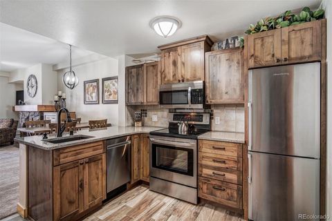 910 Copper Road 324 Copper Mountain CO 80443