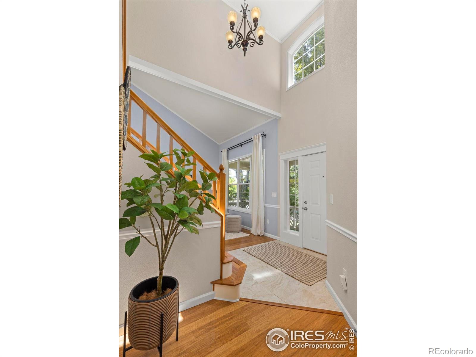 732 Paschal Drive