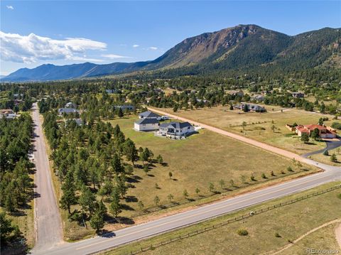 18439 Forest View Road, Monument, CO 80132 - #: 6010008