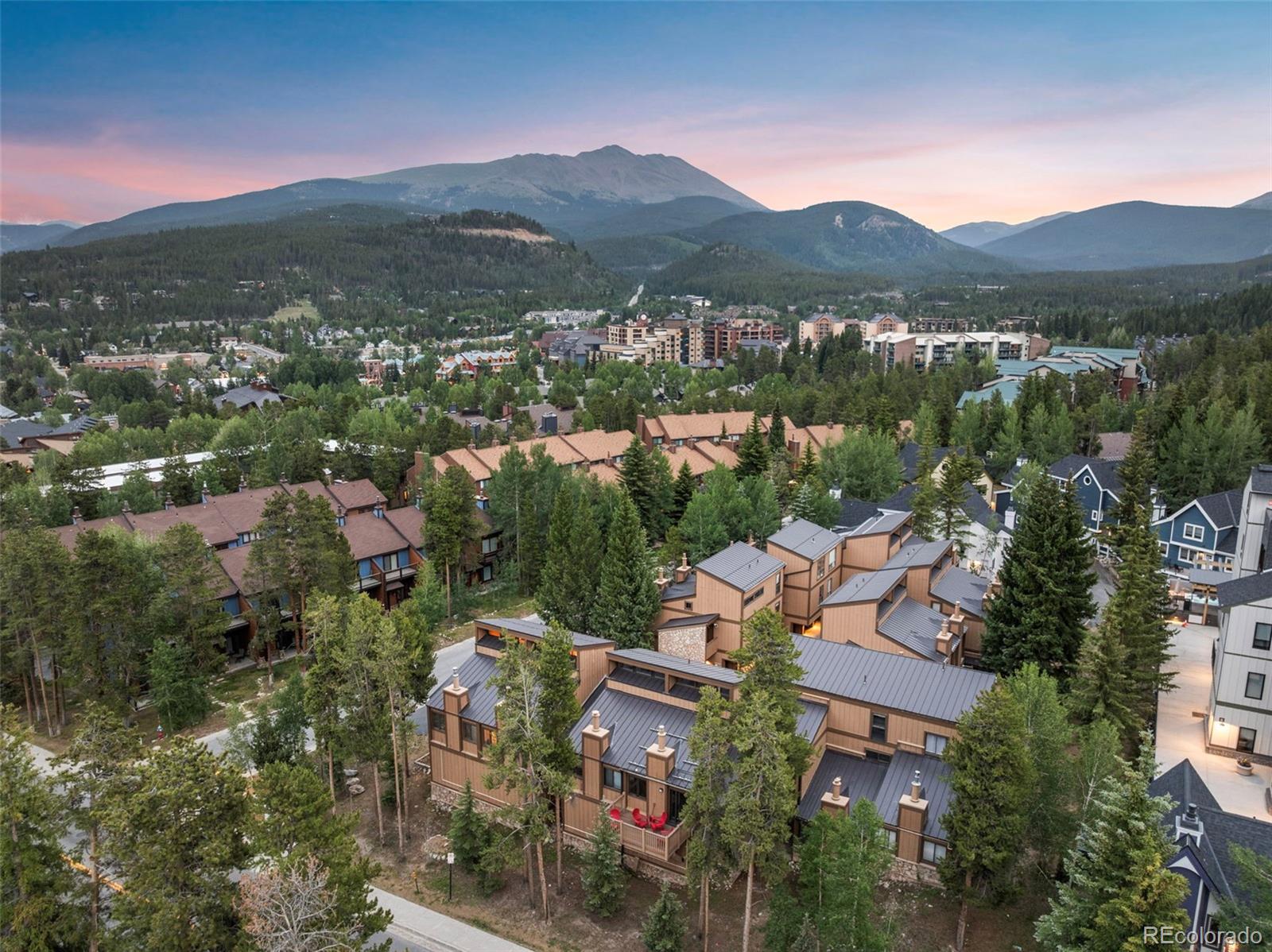 205 Primrose Path 3