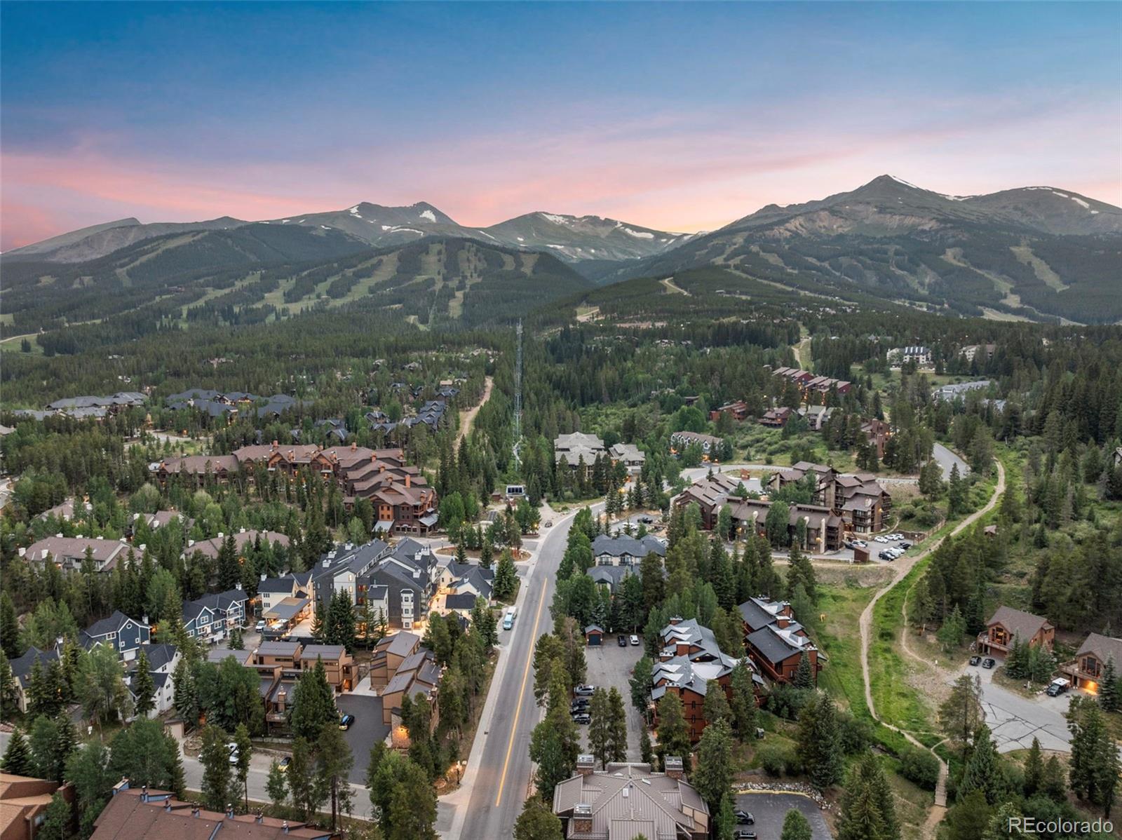 205 Primrose Path 3