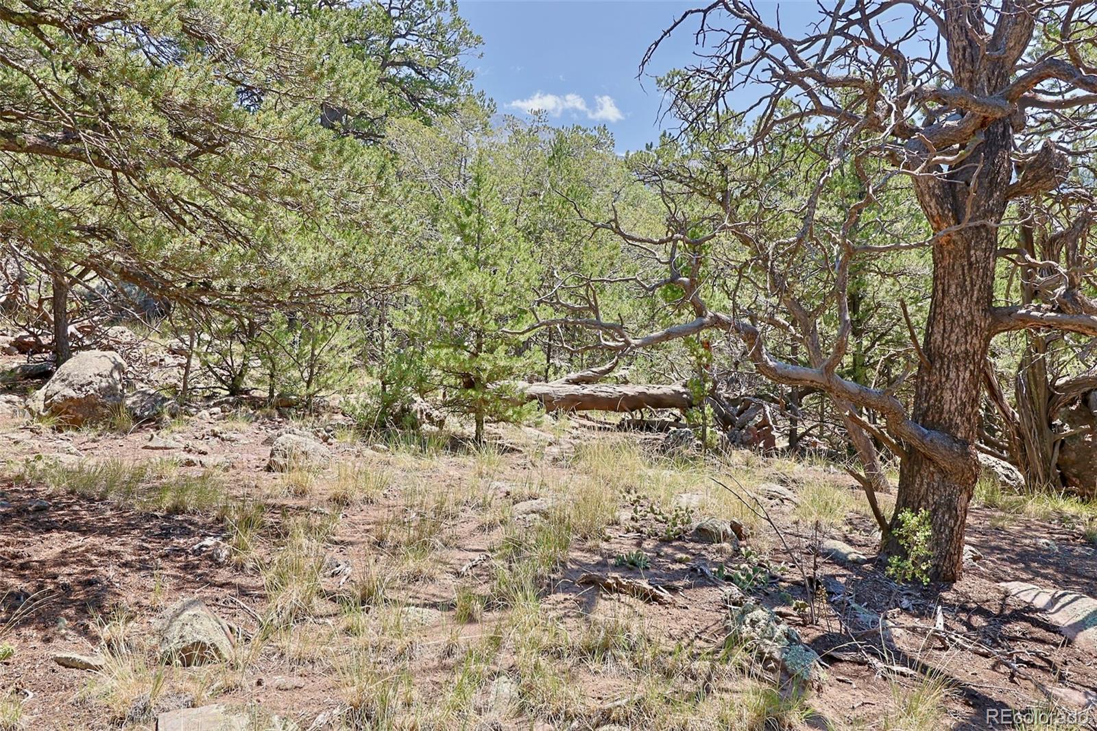 453 Arrowhead Way