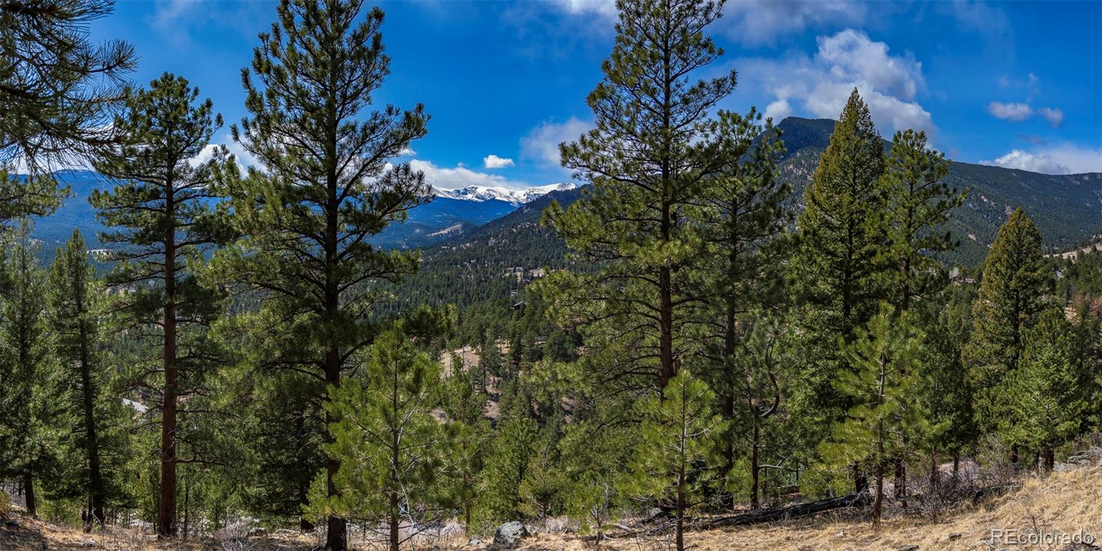 0 Conifer Drive