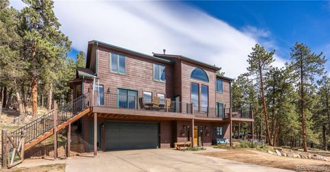 318 Road D Pine CO 80470