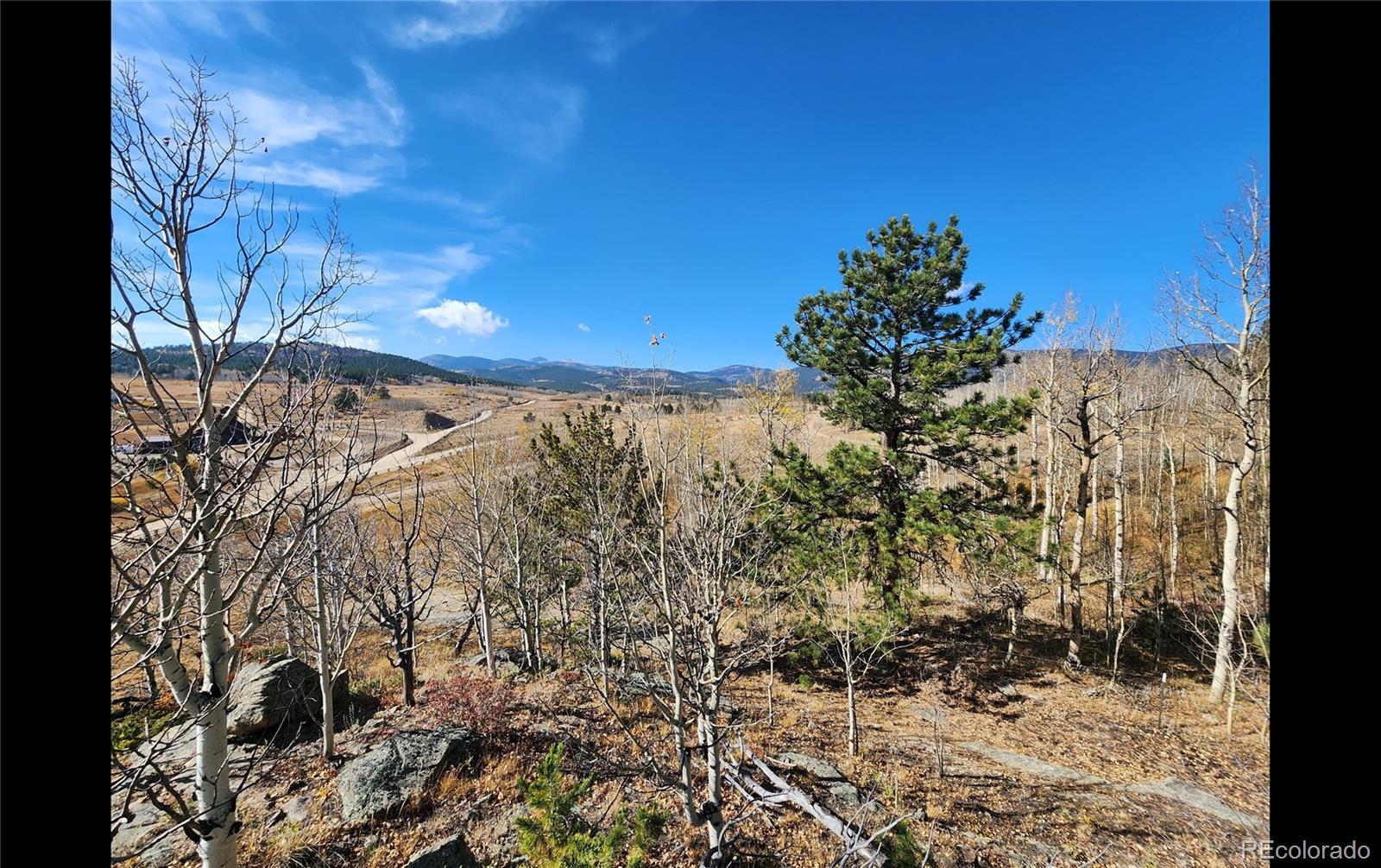 1151 Upper Apex Road