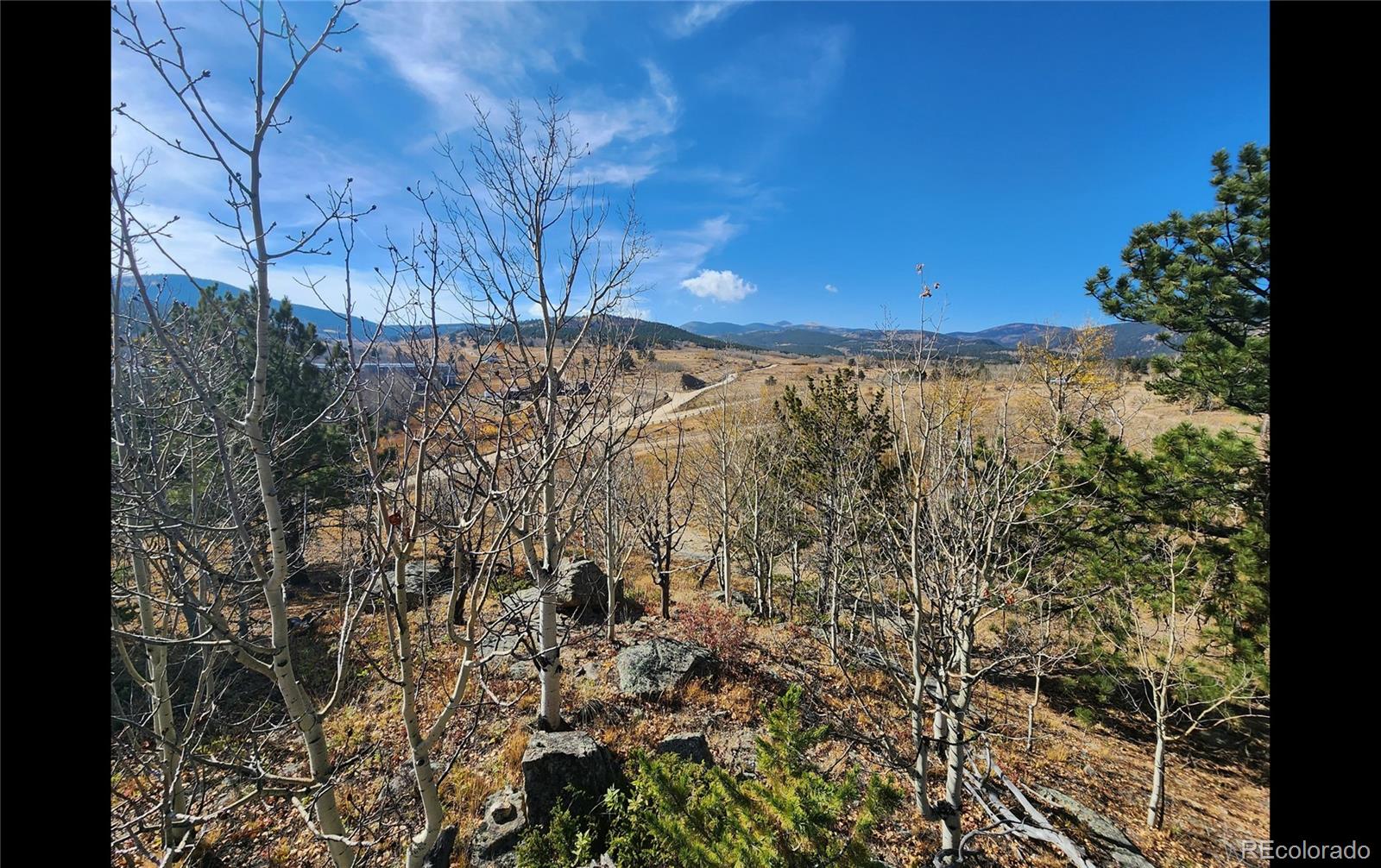 1151 Upper Apex Road
