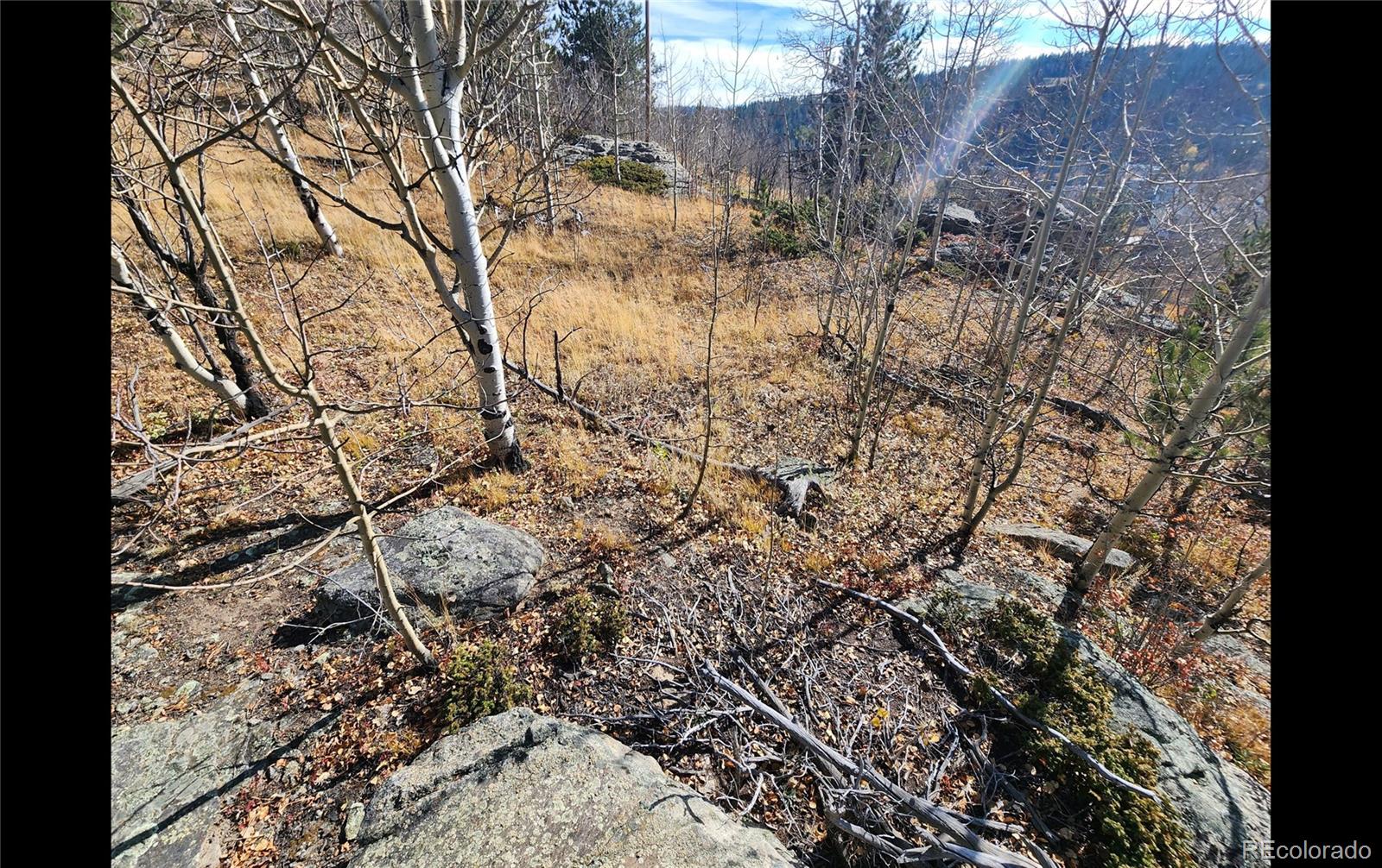 1151 Upper Apex Road