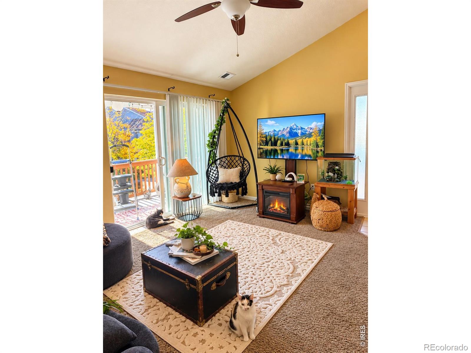 4655 Hahns Peak Drive 201