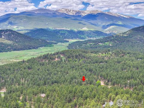 56 Bounty Hunter Lane Bailey CO 80421