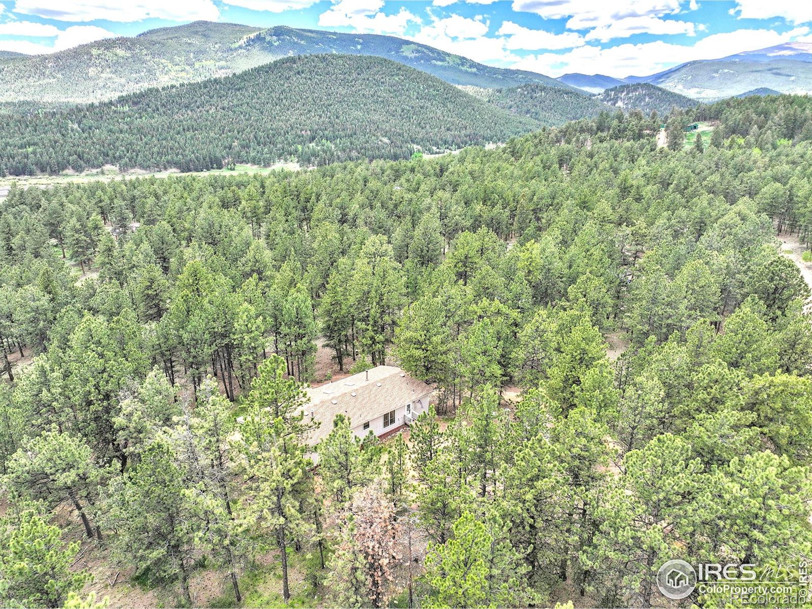 56 Bounty Hunter Lane, Bailey, CO, 80421 3 56 Bounty Hunter Lane