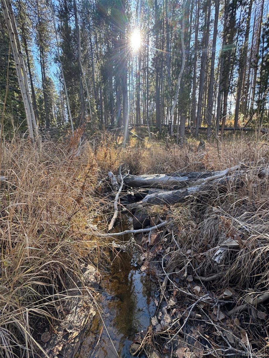 Lot 216620 Indian Springs Road