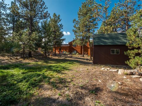 231 Blueberry Trail, Bailey, CO 80421 - #: 8243018