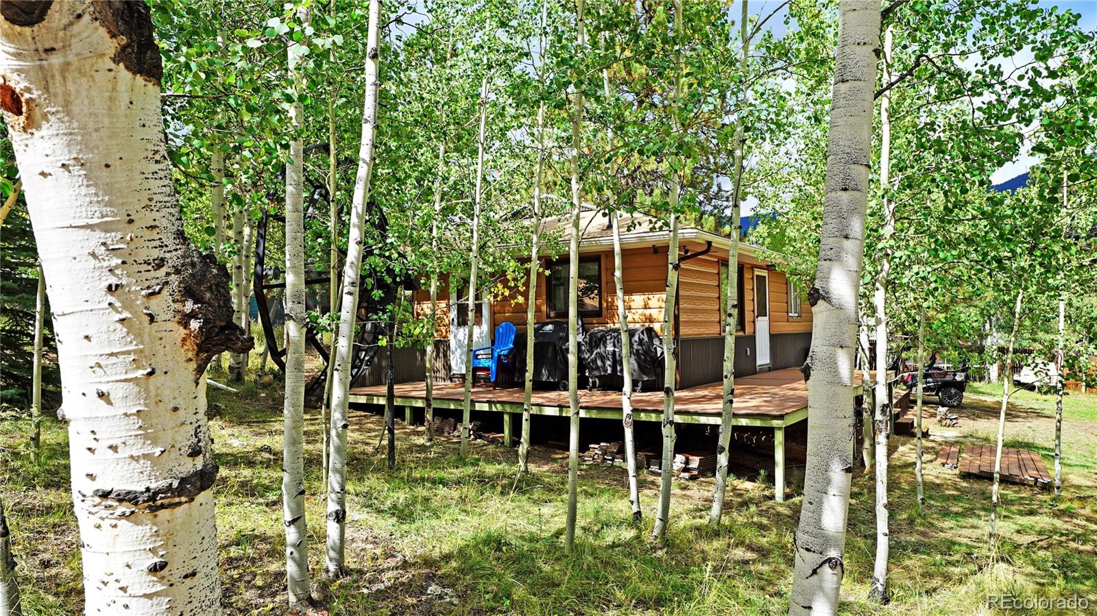 183 Bartimous Road, Bailey, CO, 80421 3 183 Bartimous Road