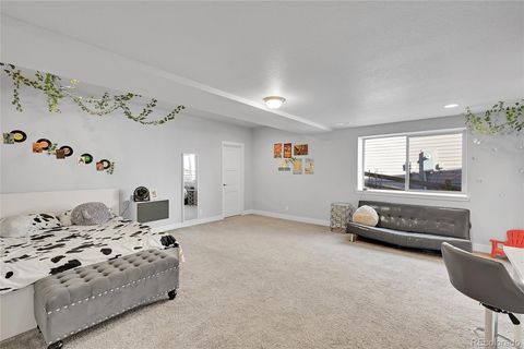 Single Family Residence in Arvada CO 18352 95th Place 35.jpg