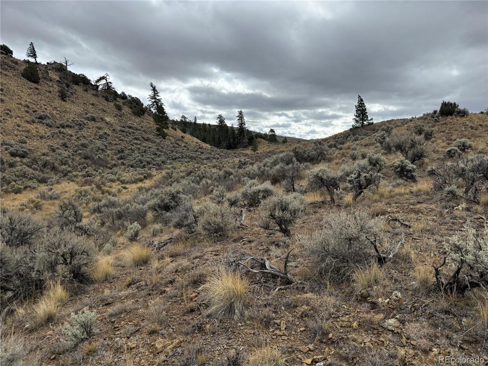 Lot 133 Griffiths Drive