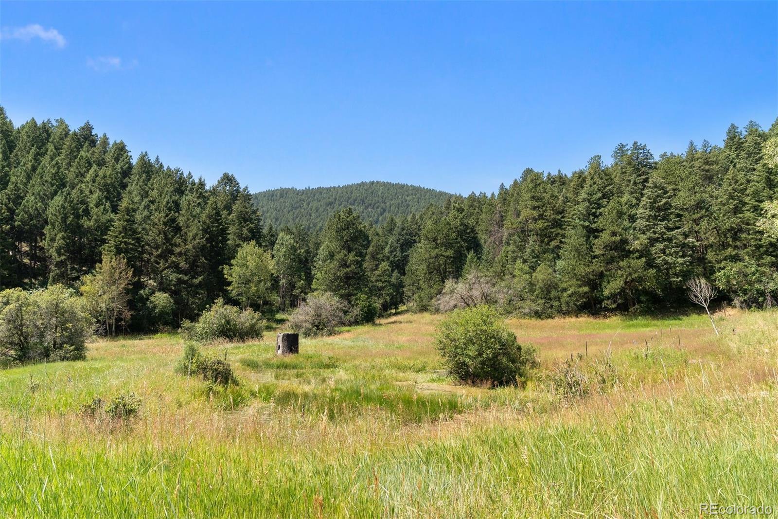 12954 Kuehster Road