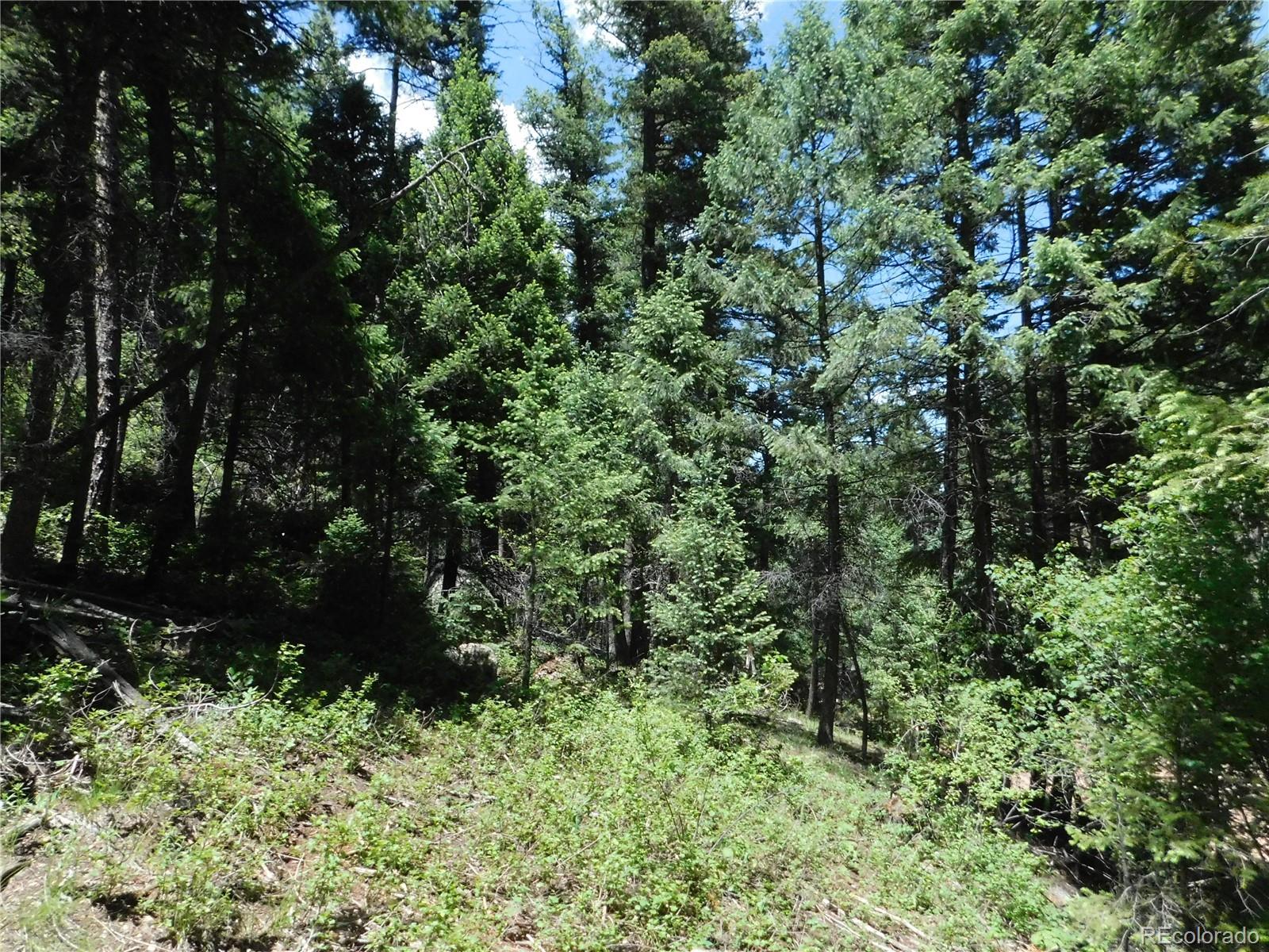 13175 Spruce Creek Circle