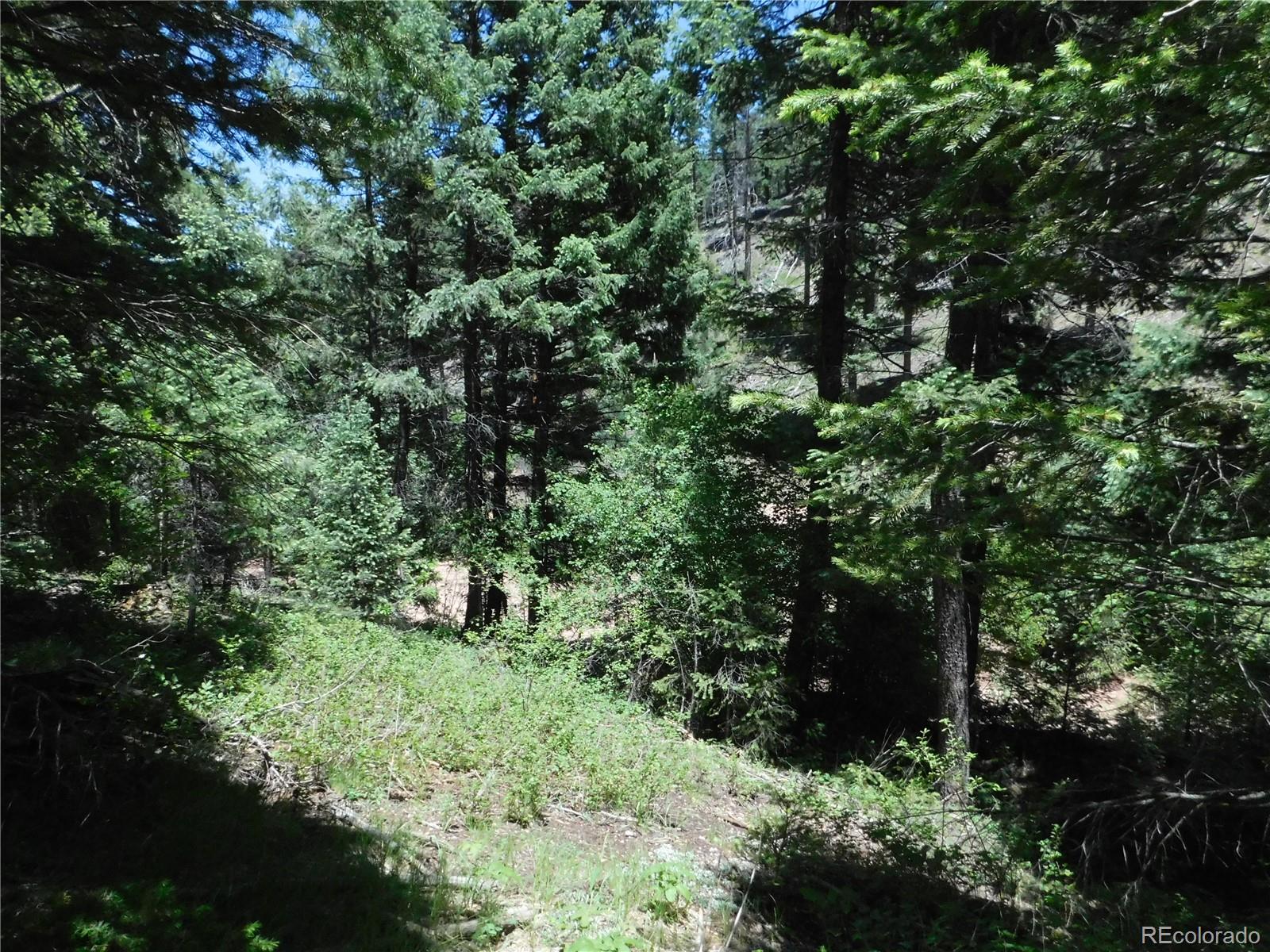 13175 Spruce Creek Circle