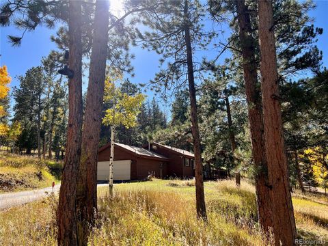 14 Aspen Drive Bailey CO 80421