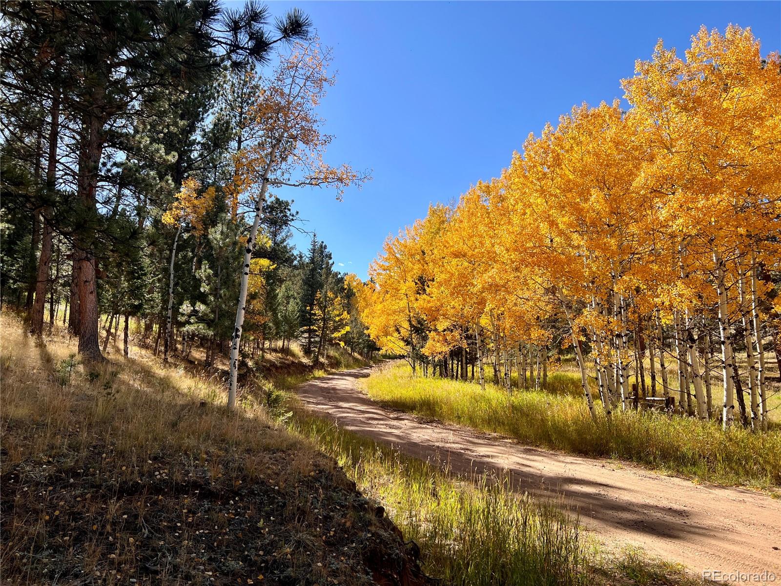 14 Aspen Drive