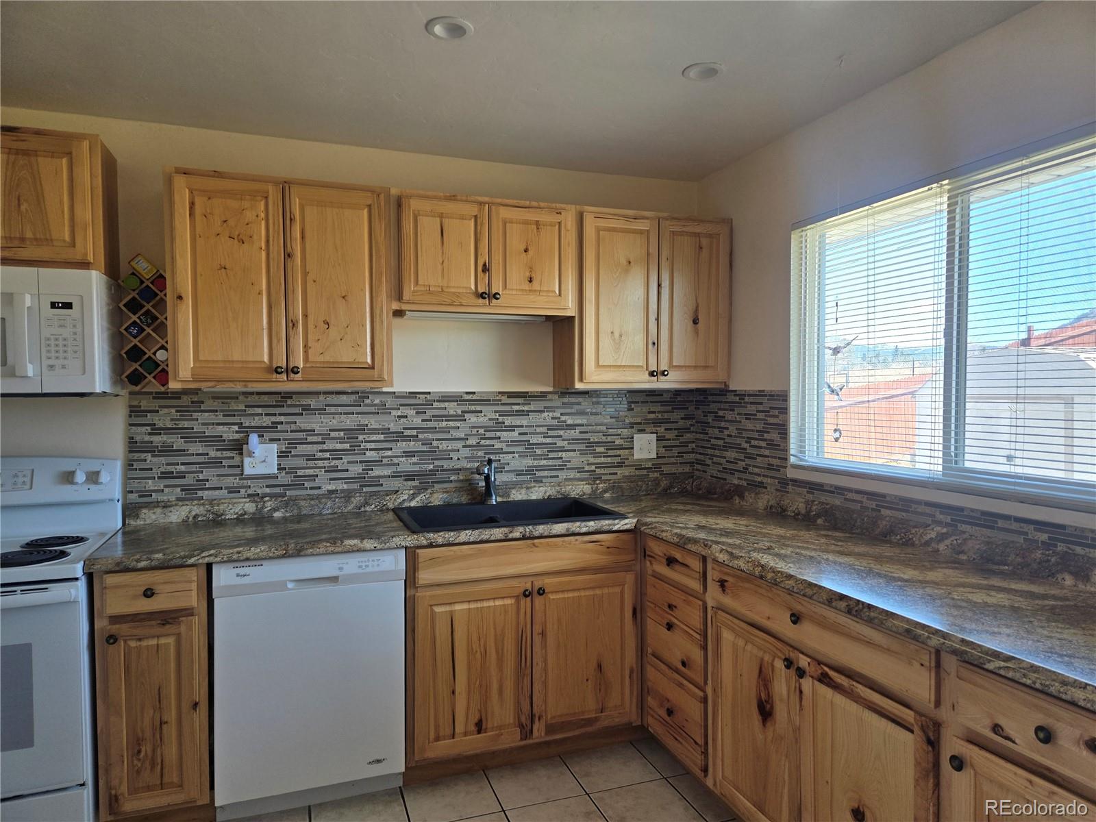 1309 Mount Elbert Drive