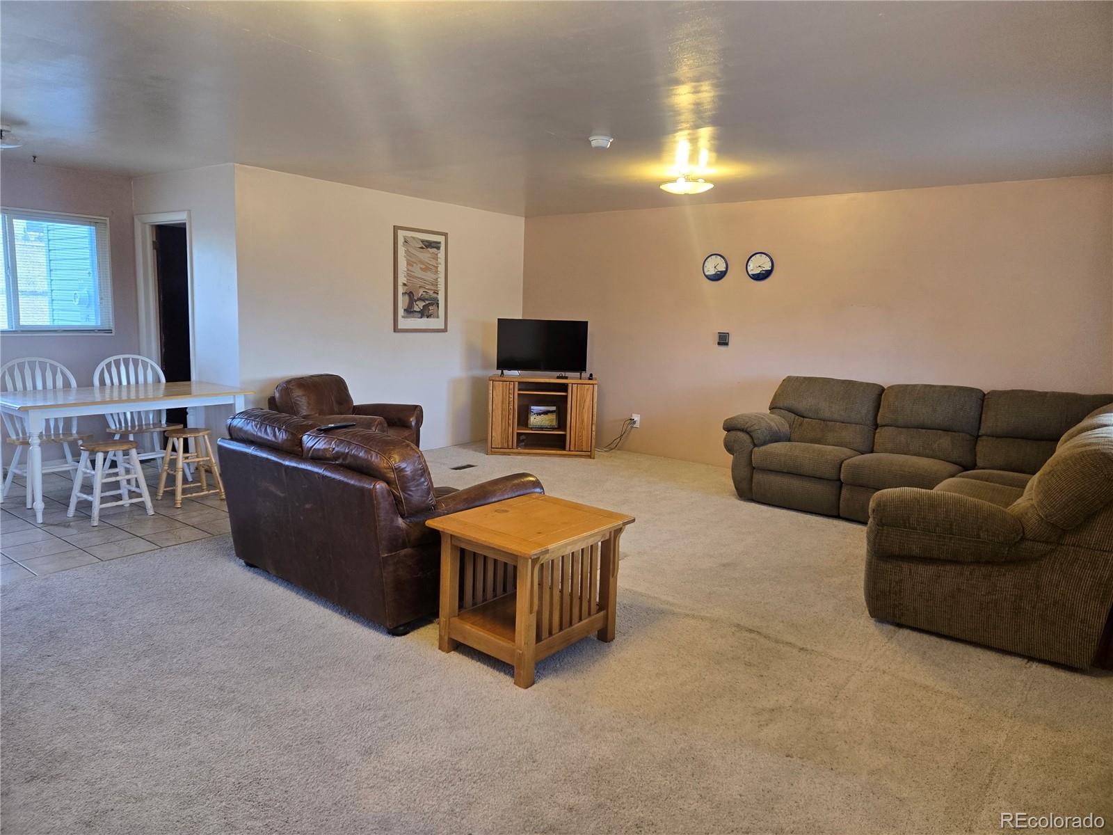1309 Mount Elbert Drive