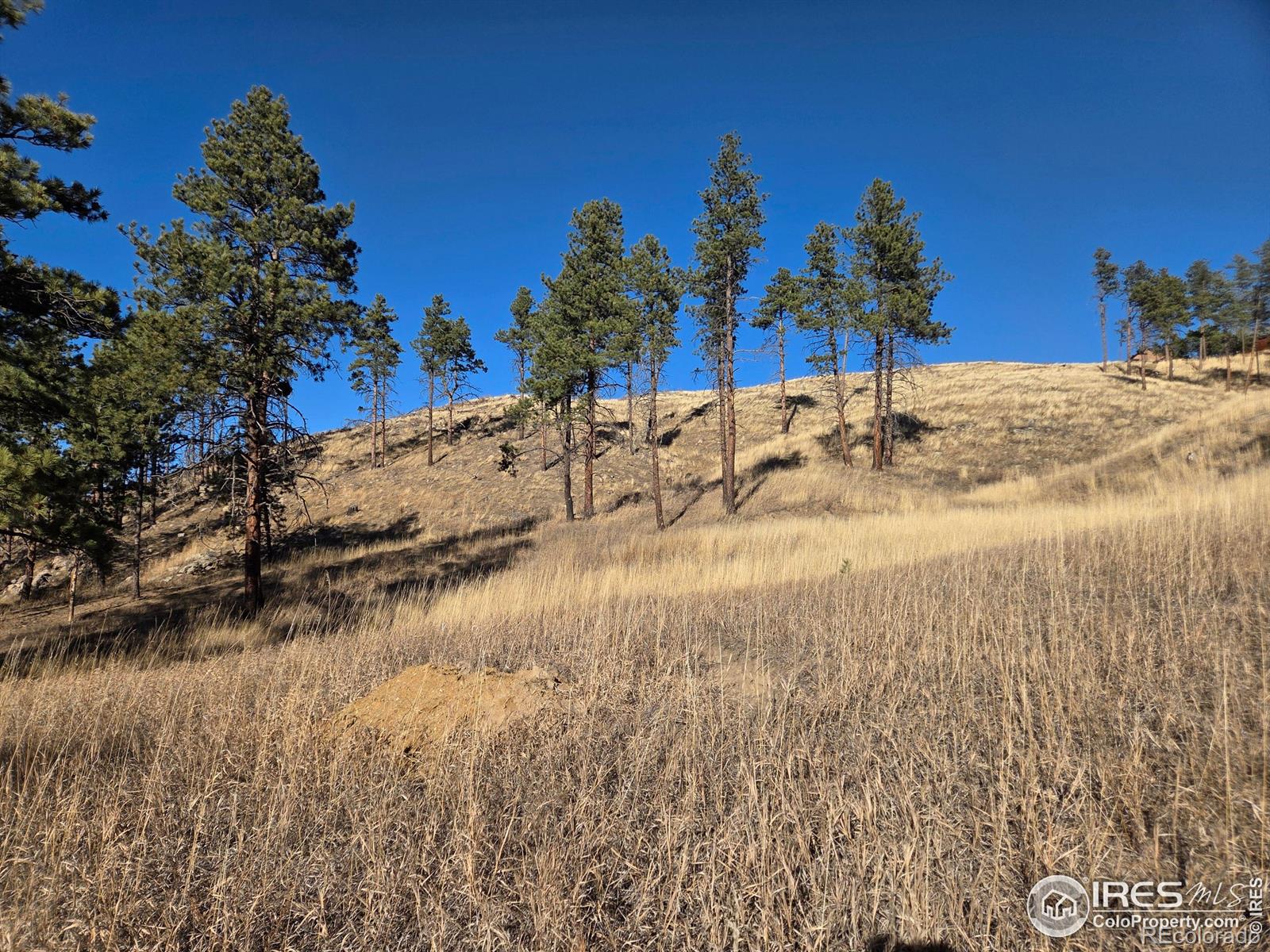 620 Davis Ranch Road