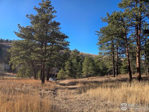 620 Davis Ranch Road Bellvue CO 80512